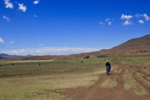 farm in Africa